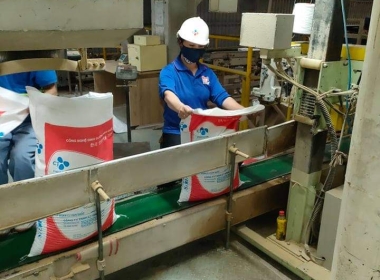 Bốc xếp hàng hóa siêu thị, thiết bị công nghệ.
