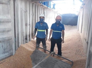 Nhân công bốc xếp hàng hóa theo tháng hoặc đơn hàng.