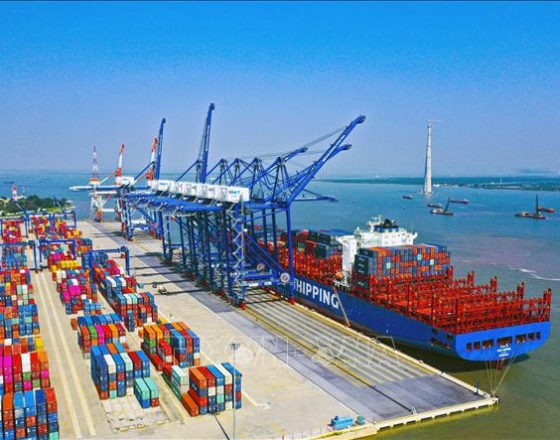 Cảng biển duy trì tăng trưởng đến từ việc đầu tư hạ tầng bài bản